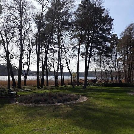 Penthouse Bernd Im Waldschloesschen Direkt Am See Wendisch Rietz Dış mekan fotoğraf