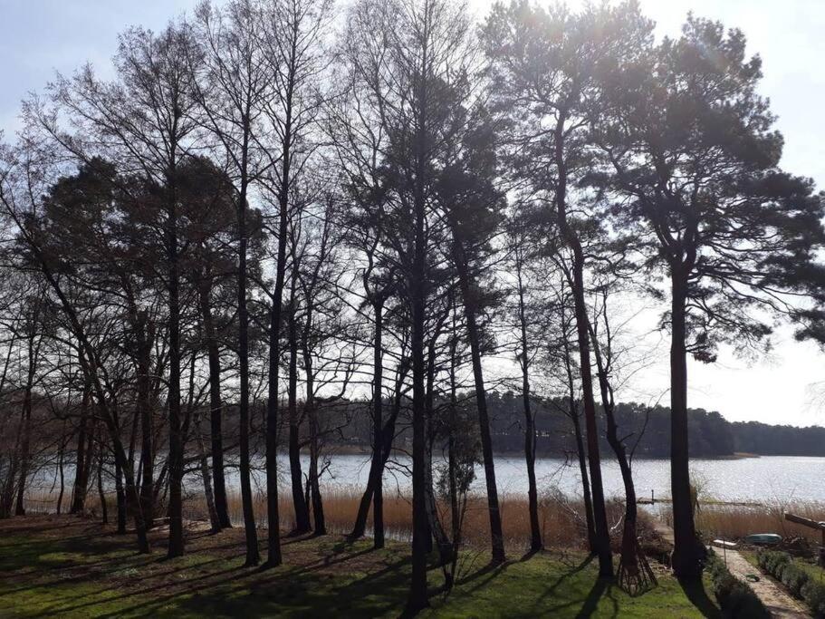 Penthouse Bernd Im Waldschloesschen Direkt Am See Wendisch Rietz Dış mekan fotoğraf