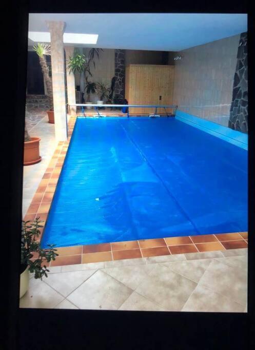 Penthouse Bernd Im Waldschloesschen Direkt Am See Wendisch Rietz Dış mekan fotoğraf