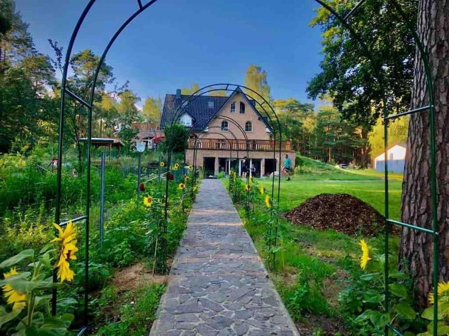 Penthouse Bernd Im Waldschloesschen Direkt Am See Wendisch Rietz Dış mekan fotoğraf