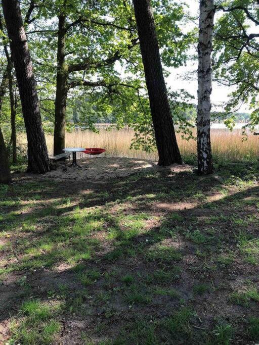 Penthouse Bernd Im Waldschloesschen Direkt Am See Wendisch Rietz Dış mekan fotoğraf